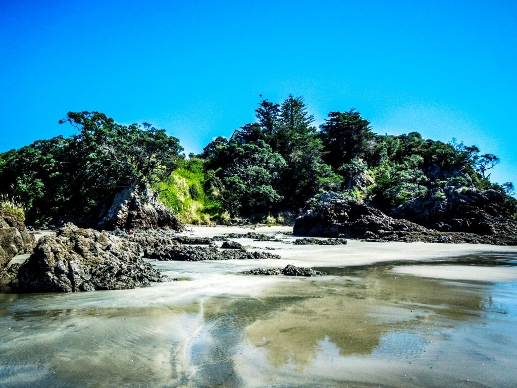 View of Little Oneroa Beach in Auckland, New Zealand