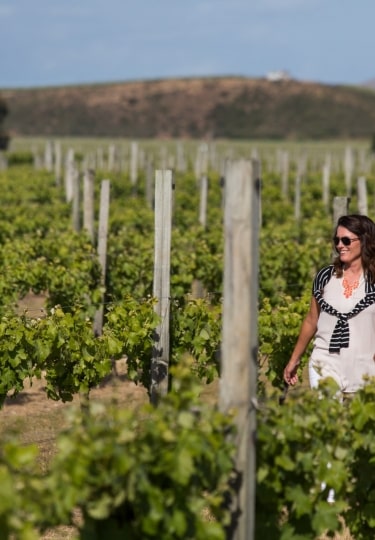 New Zealand, one of the best honeymoon destinations in January