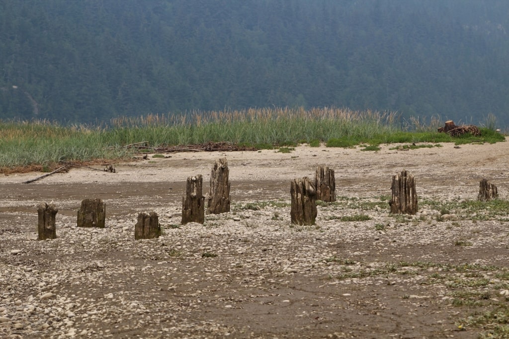 Ruins of Dyea