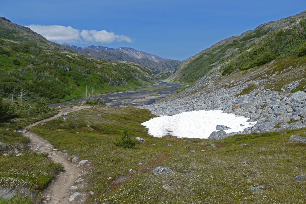 Trail in Chilkoot Trail, Dyea