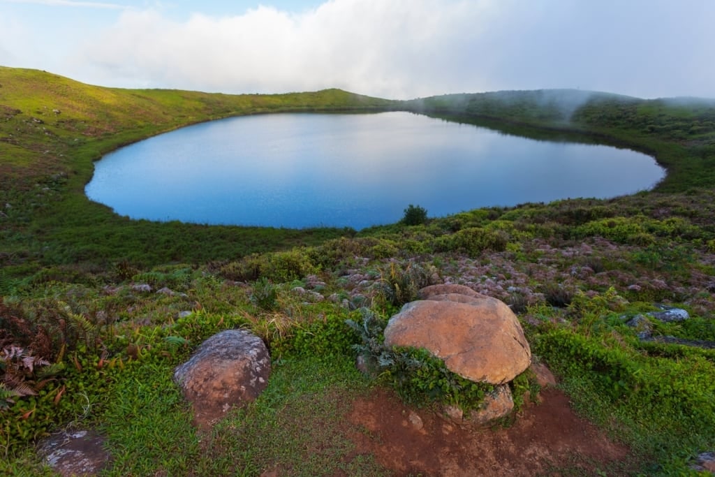 Scenic landscape of El Junco