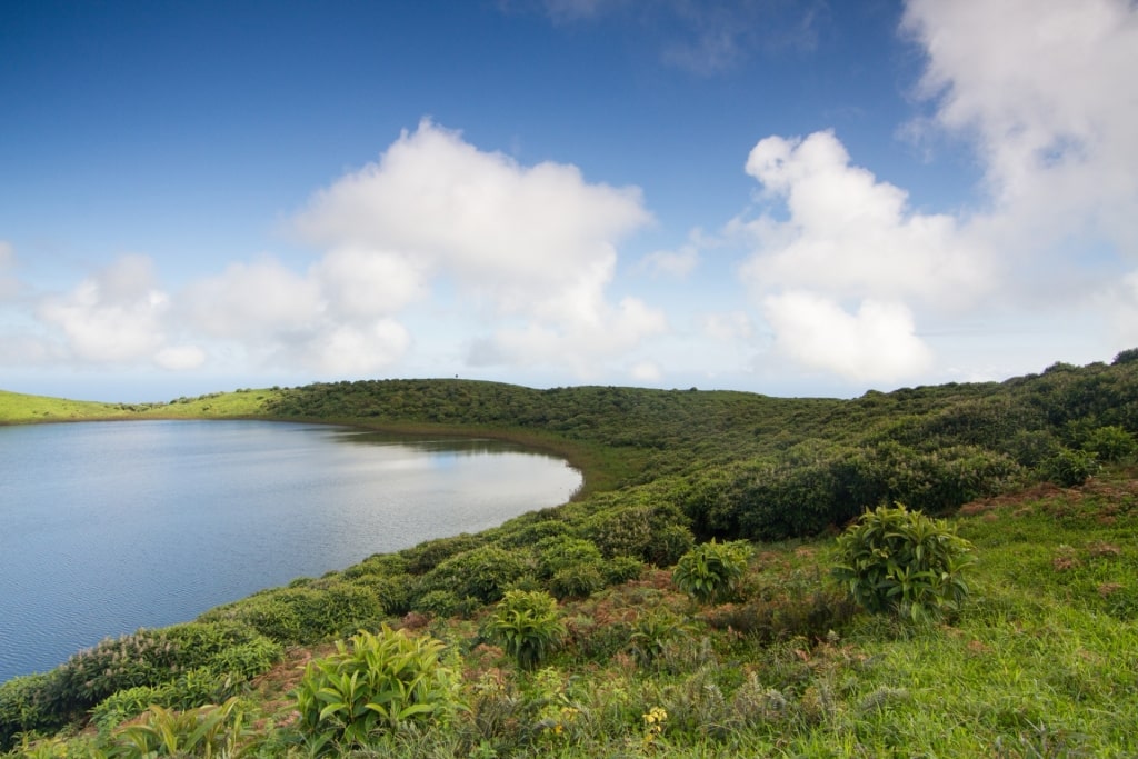 Lush landscape of El Junco