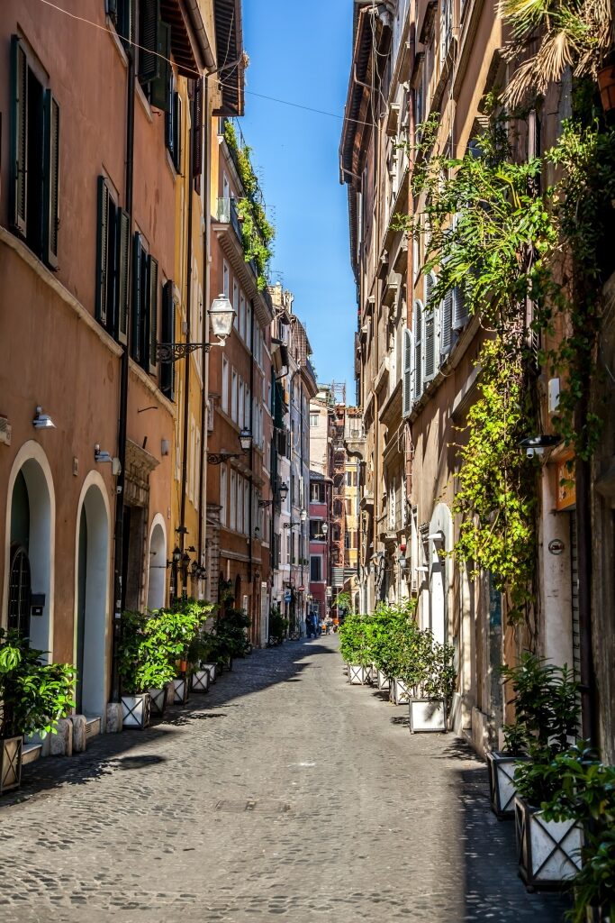 Street view of Via dei Coronari