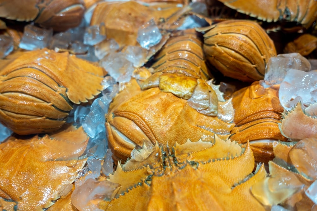 Balmain bugs inside a market in Australia