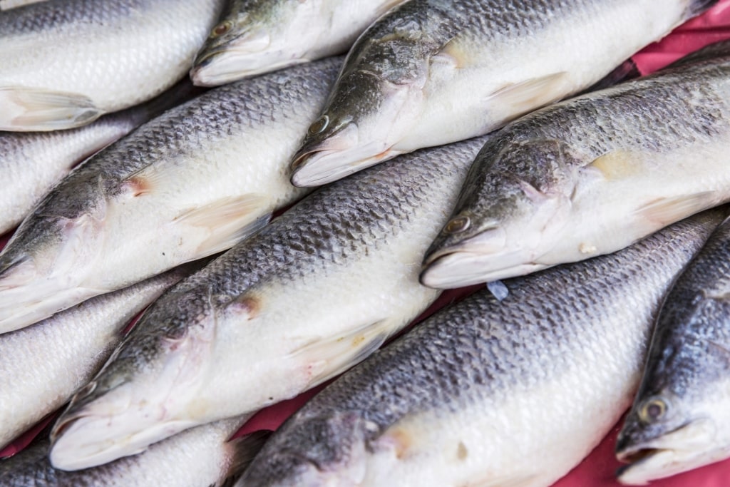 Fresh barramundi inside a market