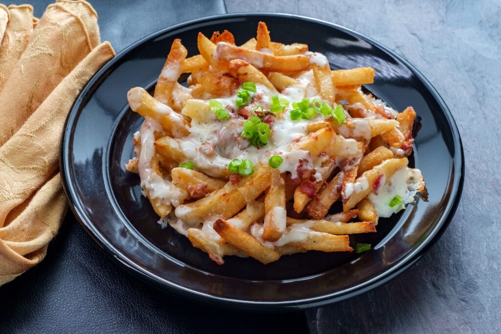 Plate of loaded fries
