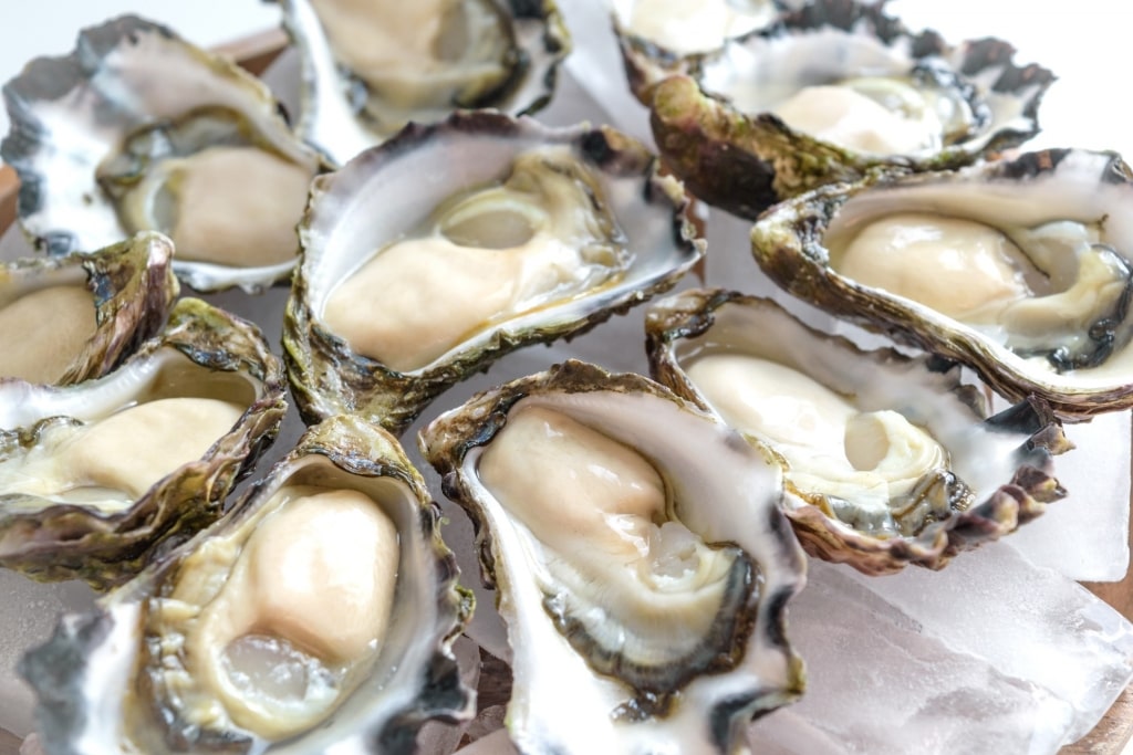 Platter of Sydney rock oysters