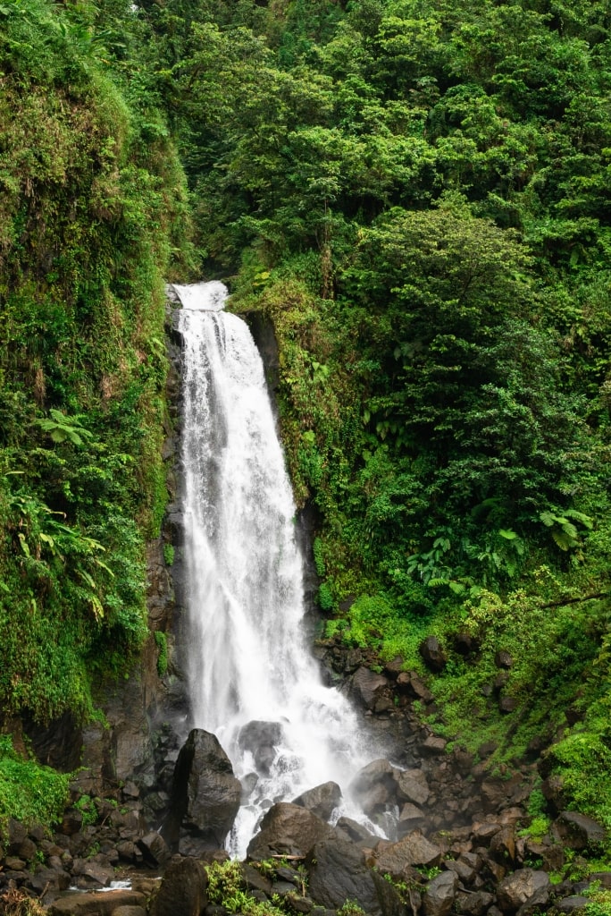 Lush landscape of Trafalgar Falls, Dominica