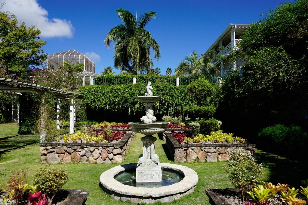 Lush landscape of Botanical Gardens, Nevis