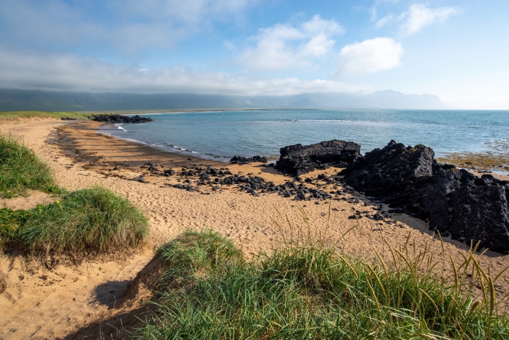 Brown sands of a beach in Budir