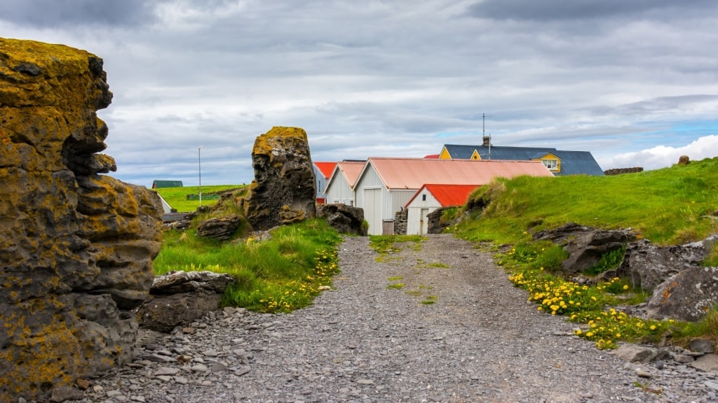 Street view of Vigur Island