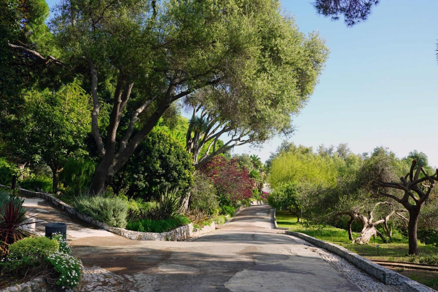 16 Best Things to Do in Gibraltar | Celebrity Cruises