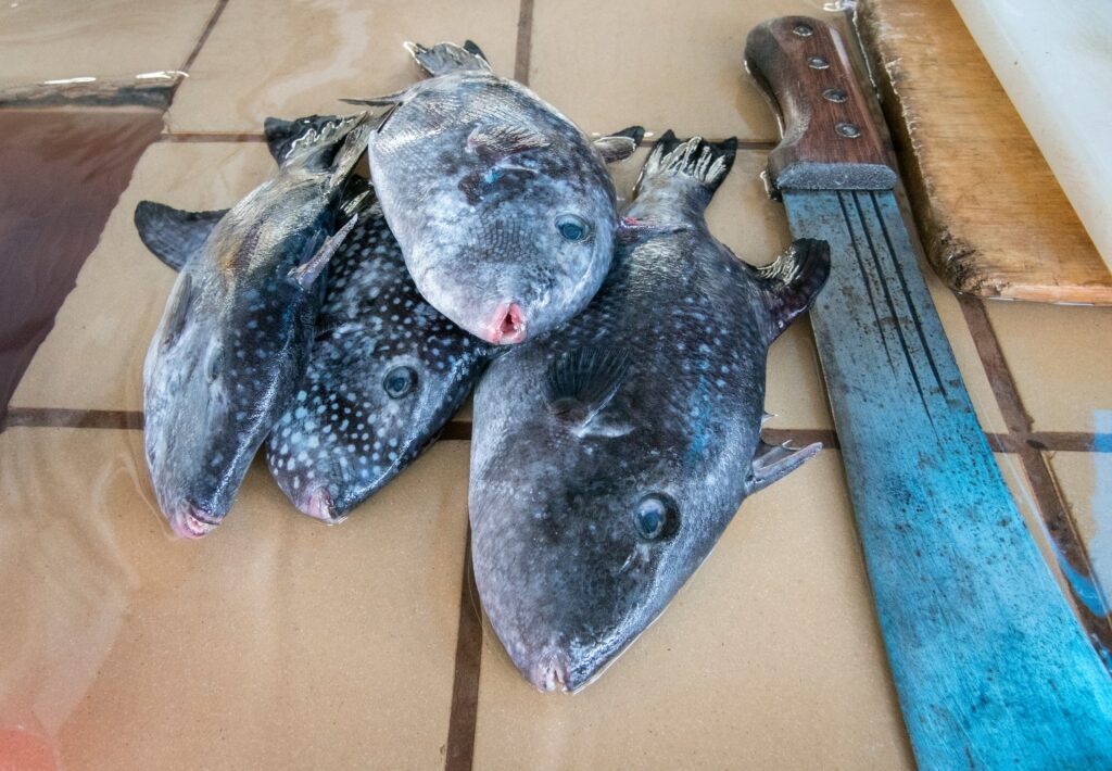 Fish at a market in Barbados