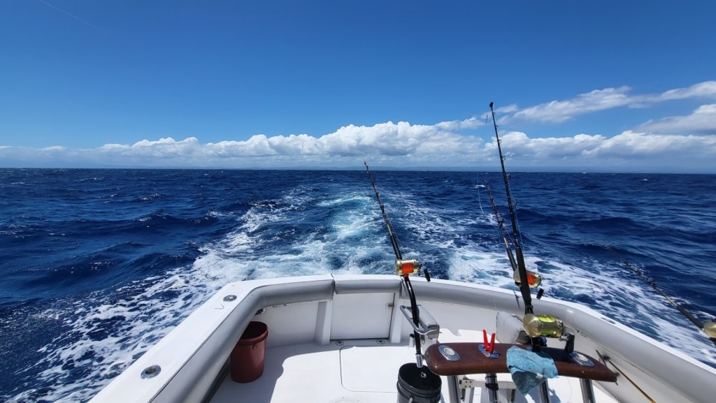 Puerto Rico, one of the best fishing in the Caribbean