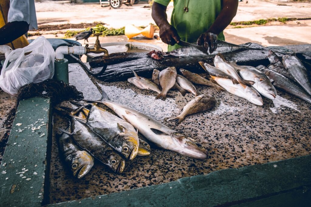 Fresh fish at a market in Tobago