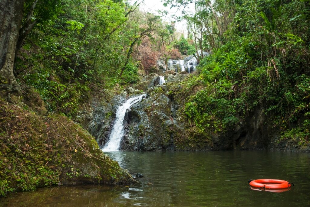 Lush landscape of Argyle Waterfalls, Tobago