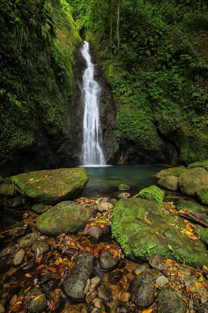 Majestic Concord Waterfall in Grenada