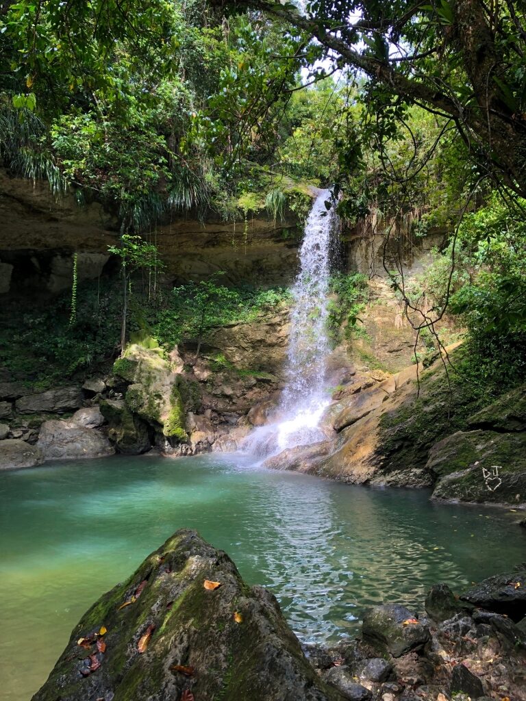 Clear waters of Gozalandia Falls, Puerto Rico