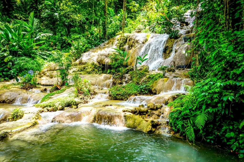 Lush landscape of Konoko Falls, Jamaica