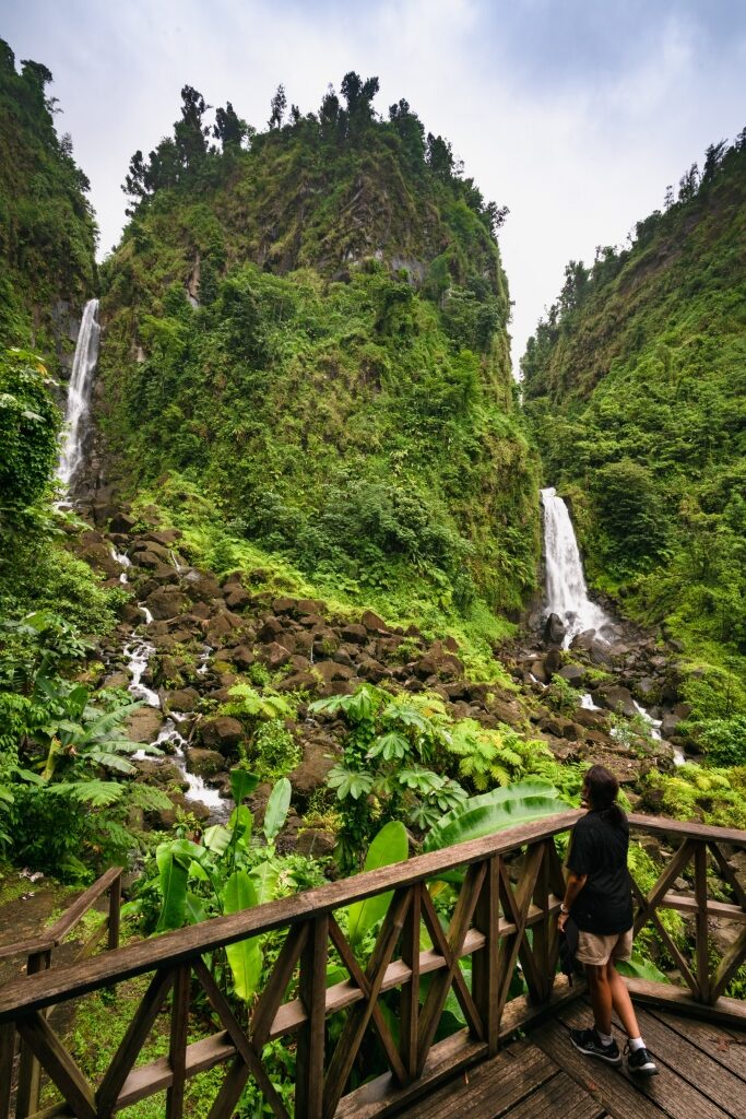 Trafalgar Falls, Dominica, one of the best Caribbean waterfalls
