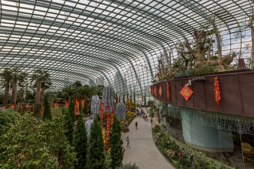 View inside Gardens by The Bay, Singapore