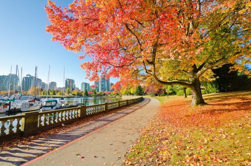 View of Stanley Park in Vancouver, Canada