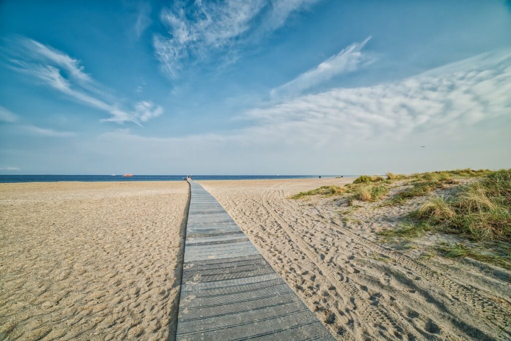 Wooden path at the Amager Beach Park