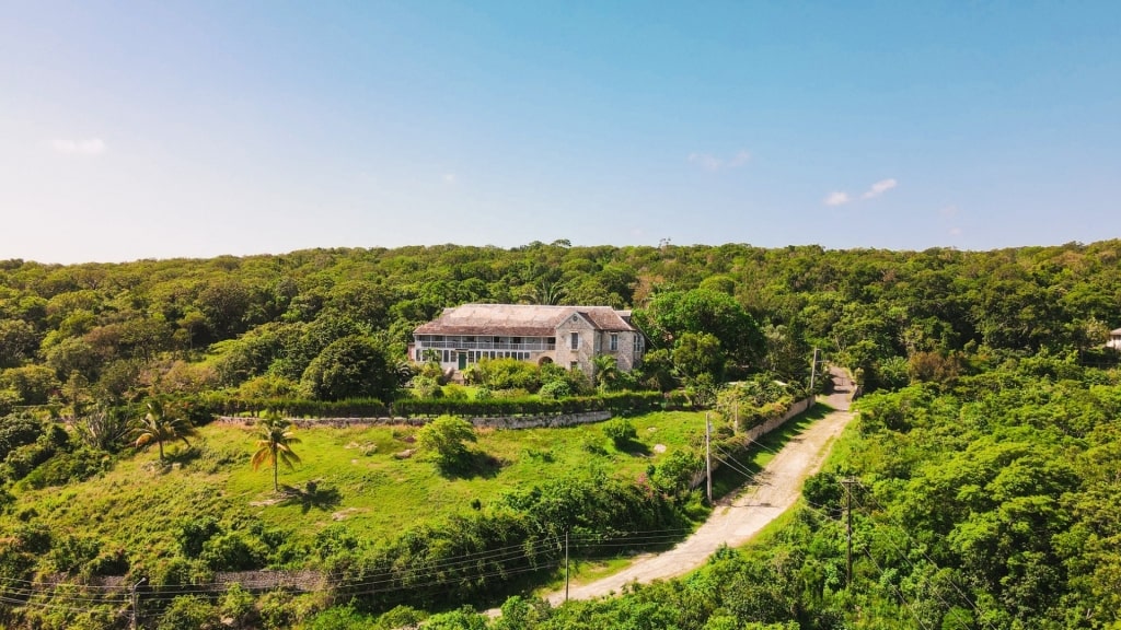 Lush landscape of Greenwood Great House