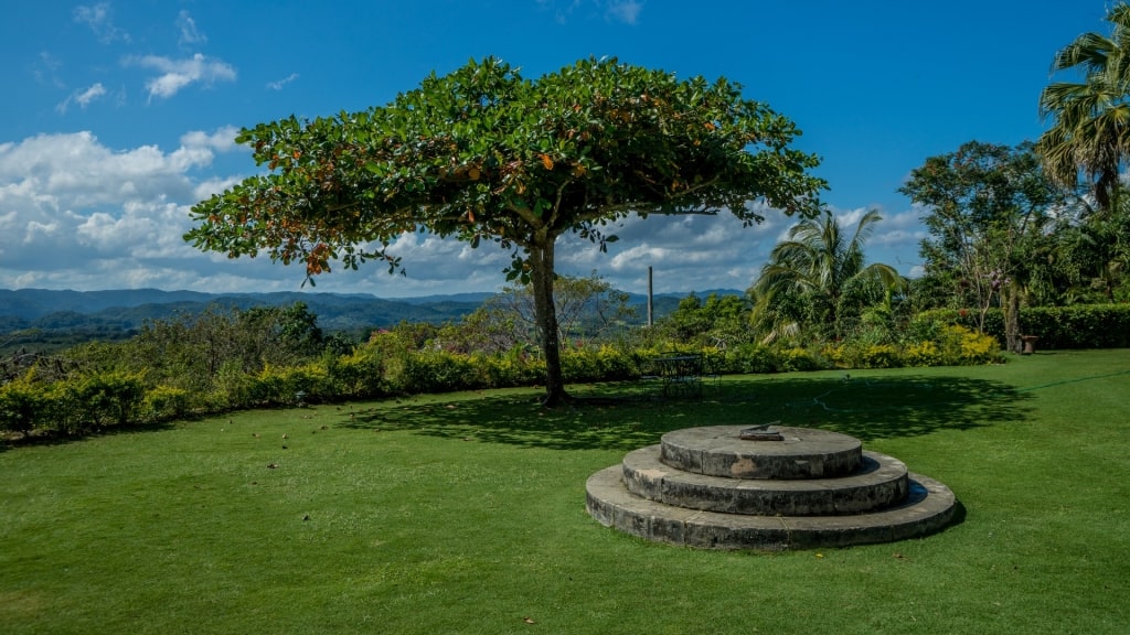 View from Good Hope in Jamaica