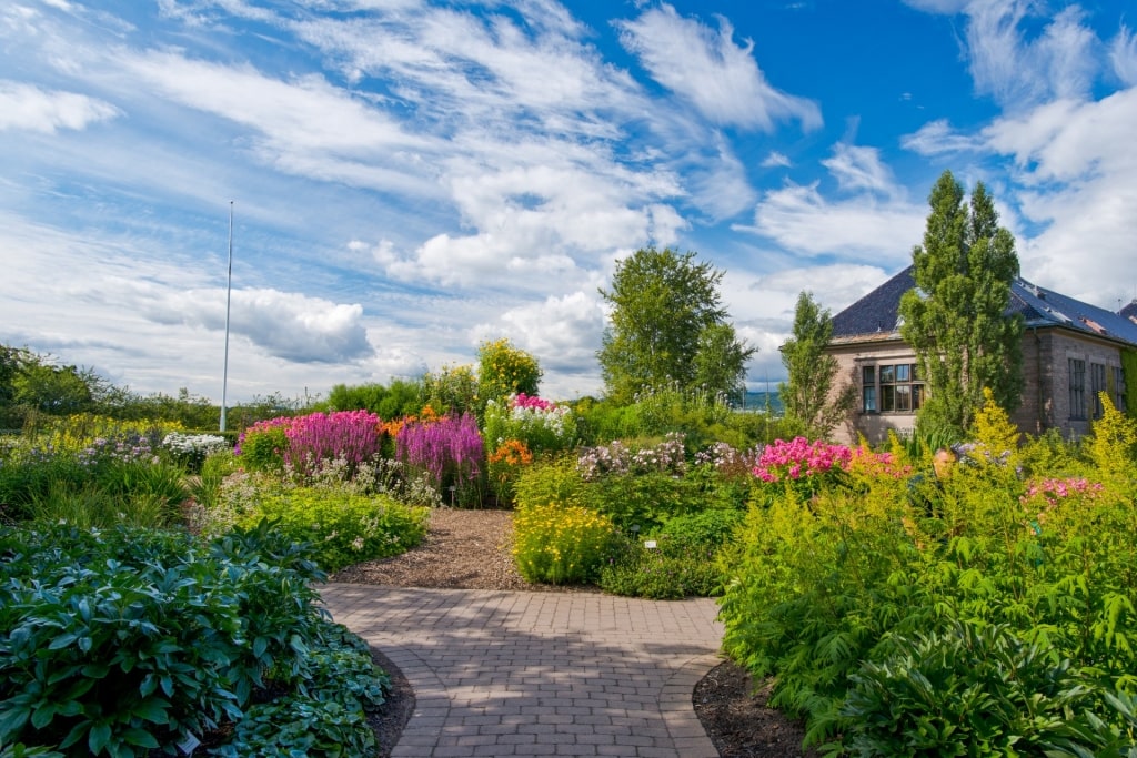 Lush landscape of Botanical Gardens