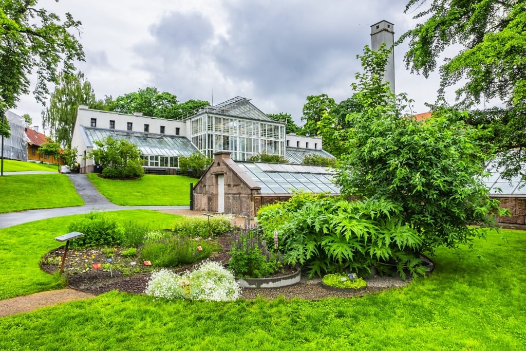 Lush landscape of Palm House, Botanical Gardens