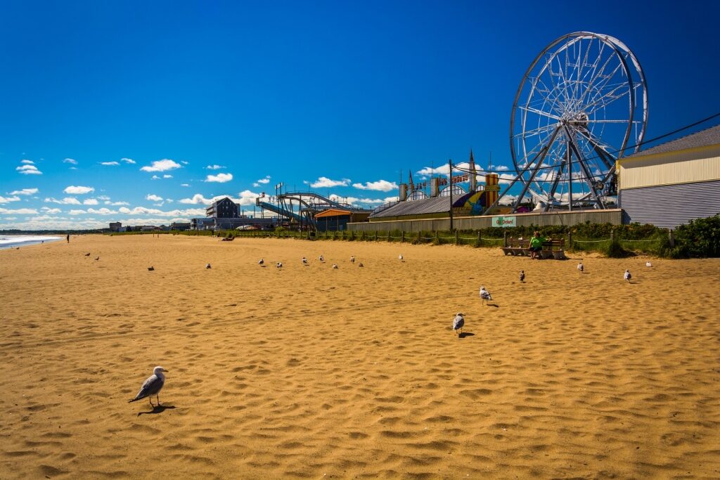 Golden sands near Palace Playland Ferris Wheel