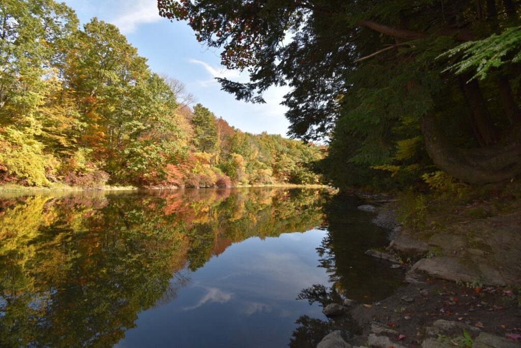 Calm waters of the Presumpscot River Preserve