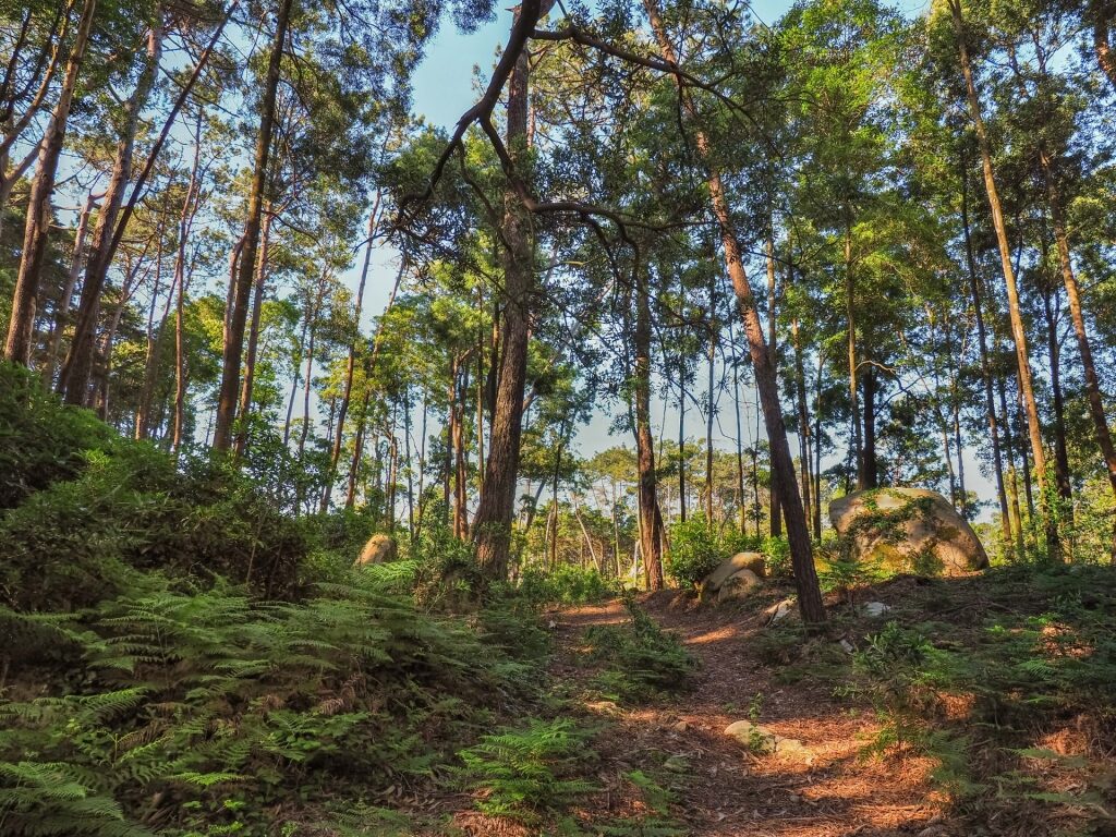 View while hiking in Parque Natural de Sintra-Cascais