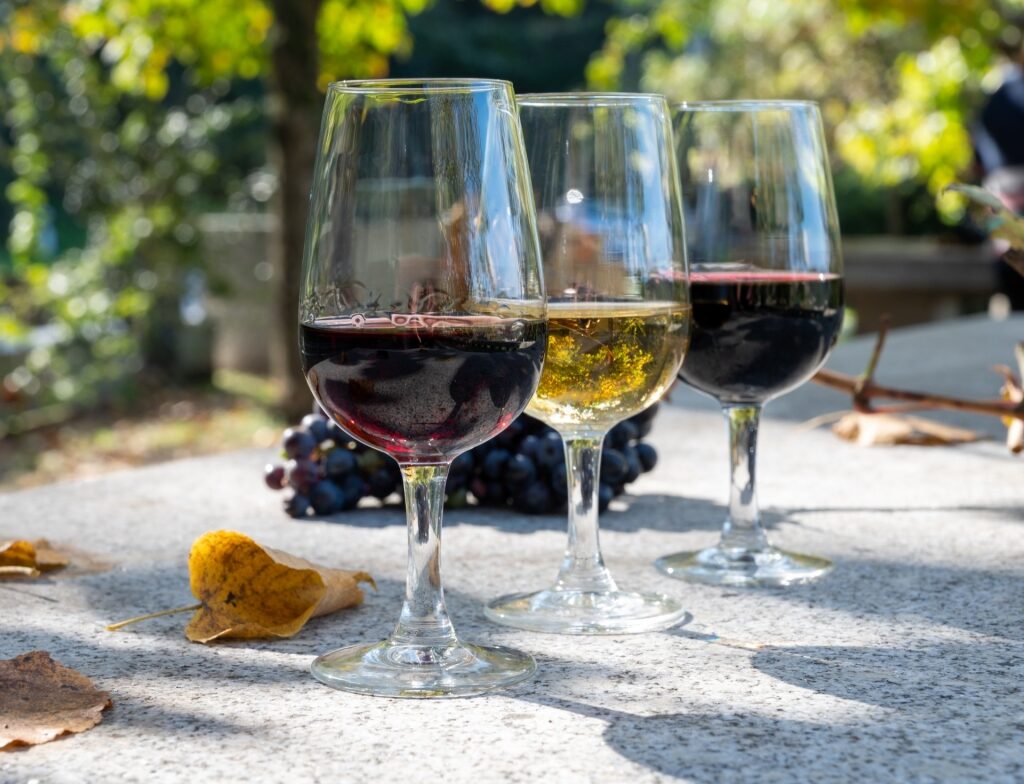 Wine tasting in Greece