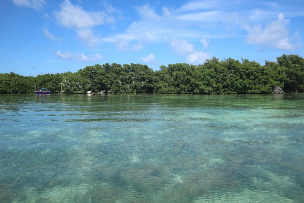 Clear waters of Hol Chan Marine Reserve