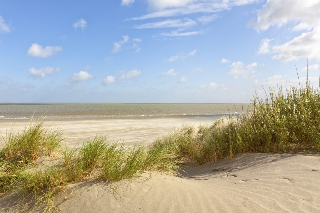 Dunes of Knokke Beach, near Zeebrugge, Belgium