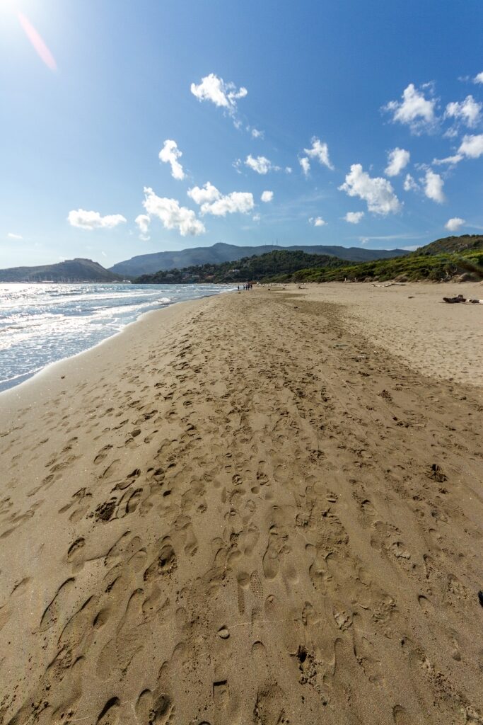 Sandy beach of Feniglia