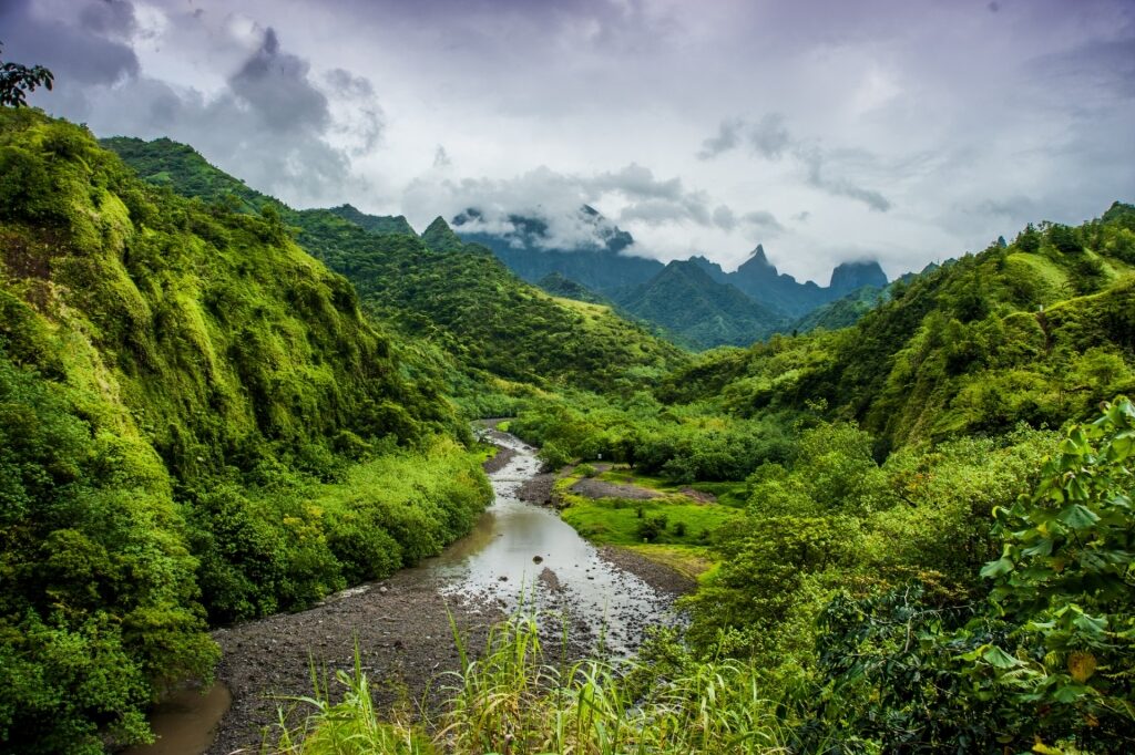 Lush landscape of Papenoo Valley in Tahiti, French Polynesia
