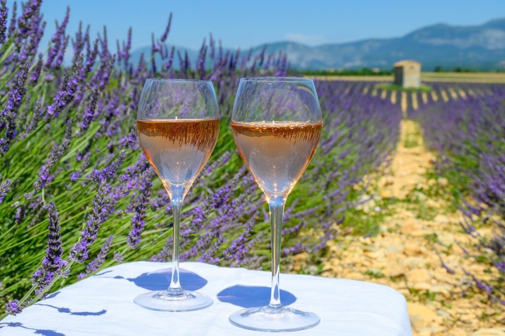 Wine in Provence, France