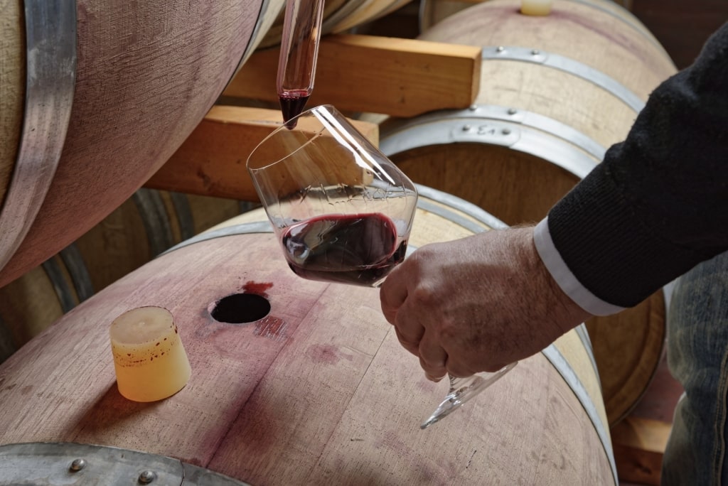 Barrels of wine from a winery in Sicily, Italy