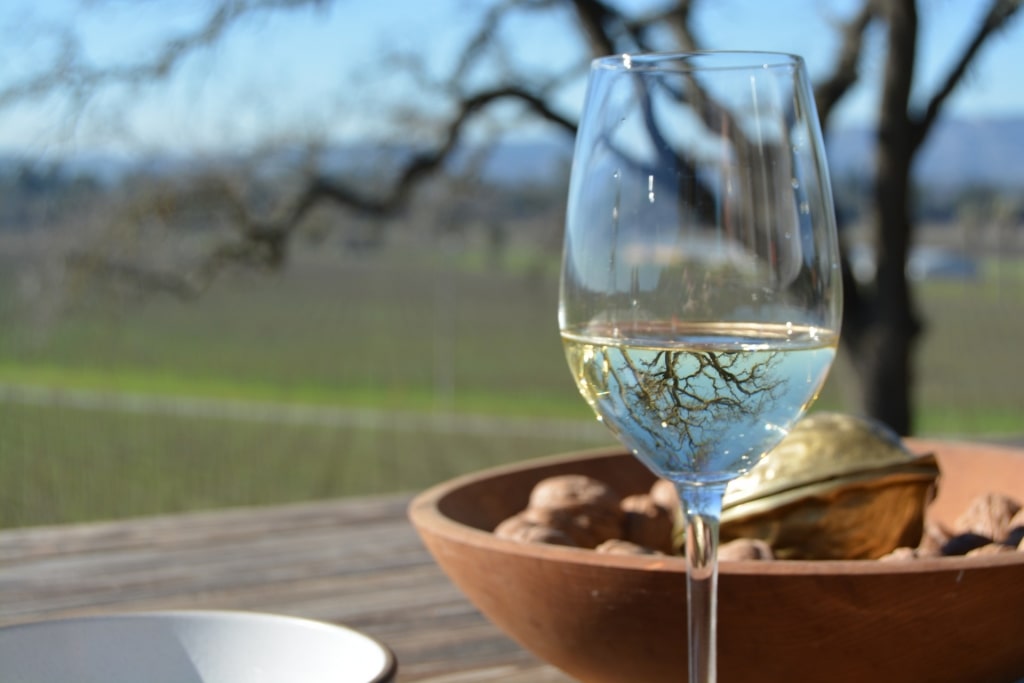 Glass of wine in Sonoma County, California