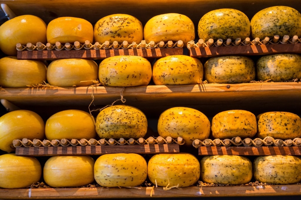 Selection of cheese inside the Amsterdam Cheese Museum