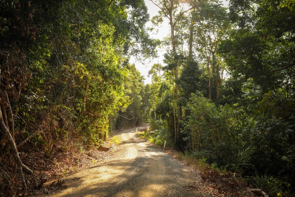 Trail in Conway National Park, Australia