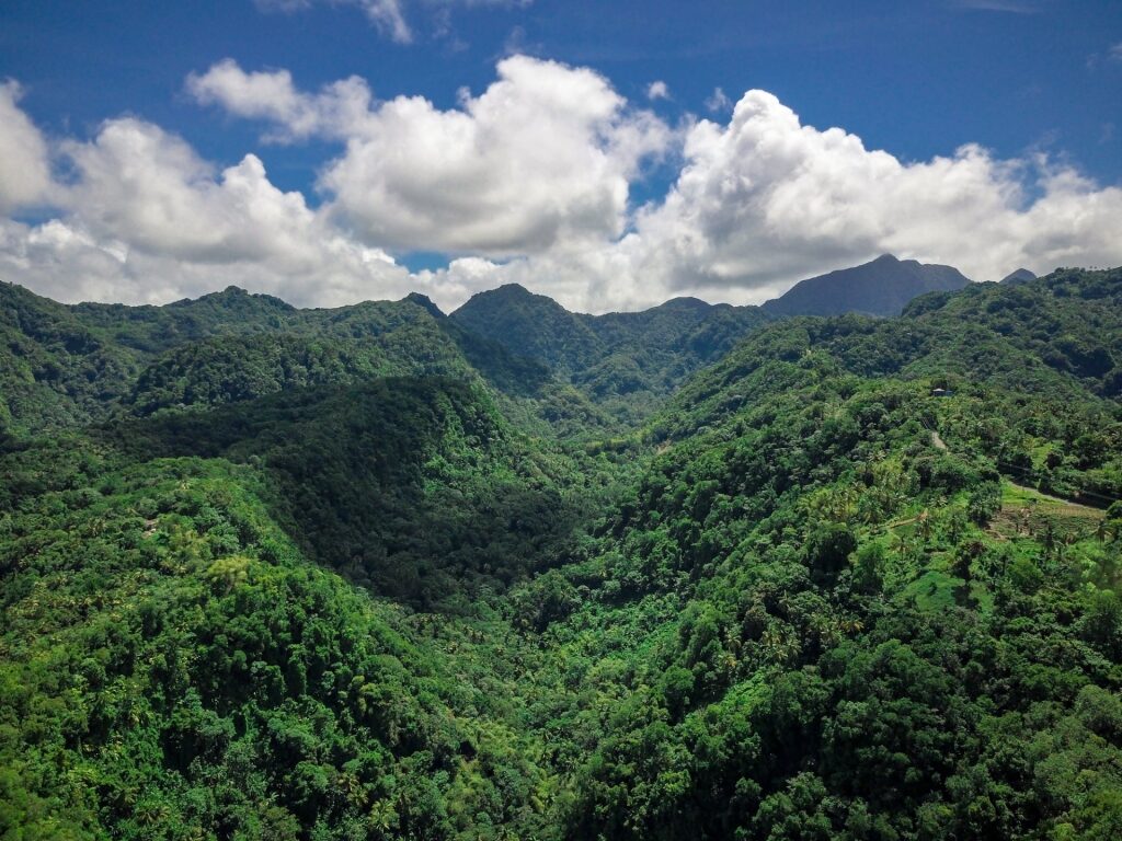 Edmund Rainforest, St. Lucia, one of the best rainforest destinations