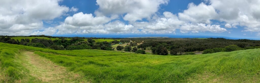 Lush landscape of Hawaii Volcanoes National Park, Hawaii