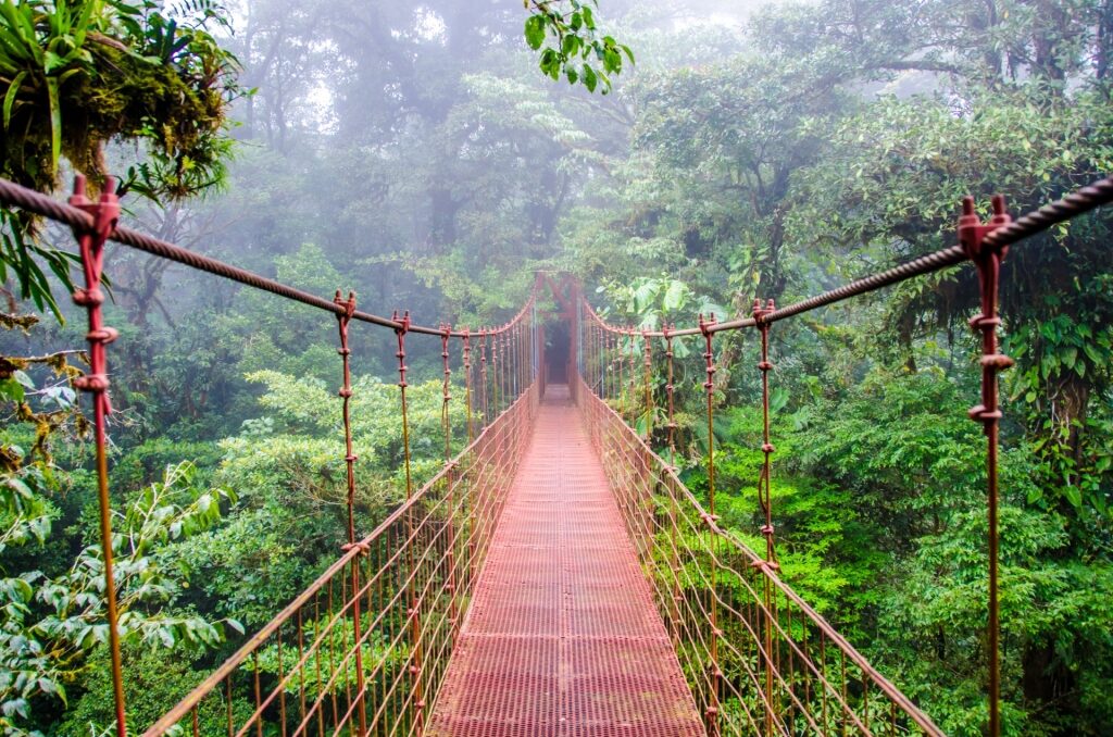 Monteverde Cloud Forest Reserve, Costa Rica, one of the best rainforest destinations