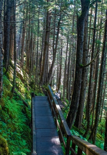 Tongass National Forest, one of the best rainforest destinations