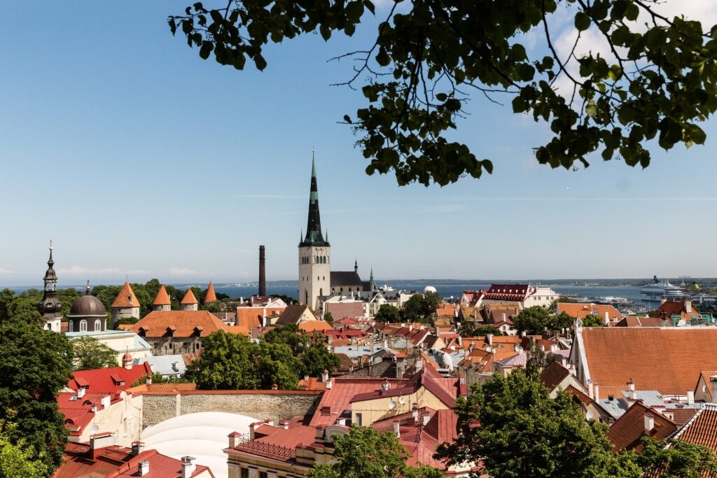 Beautiful landscape of St. Olav’s Church in Tallinn Old Town