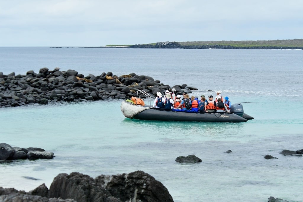 Panga in the Galapagos